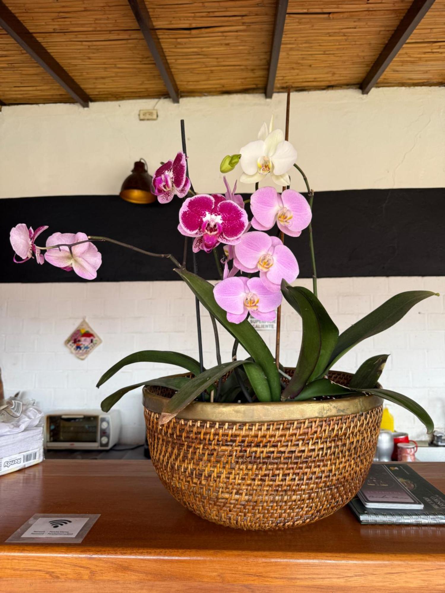 Pancha Mama Hotel Boutique Villa de Leyva Extérieur photo